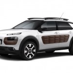 C4 Cactus