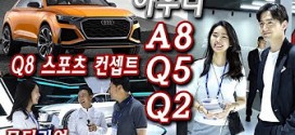 [부산모터쇼] 아우디 Q8 컨셉트, A8, Q5, Q2, 일레인, 유경욱 선수 인터뷰 Audi Q5