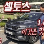 셀토스