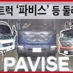 파비스