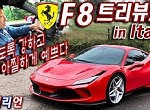 f8 트리뷰토