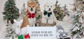 볼보자동차코리아, 서울시에 반려동물 복지를 위한 5천만원 상당 물품 기부