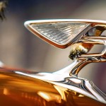 [참고사진] 지속가능성의 상징 벤틀리 플라잉 비(Flying Bees), 신기록 수립! (2)