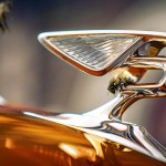 [참고사진] 지속가능성의 상징 벤틀리 플라잉 비(Flying Bees), 신기록 수립! (2)